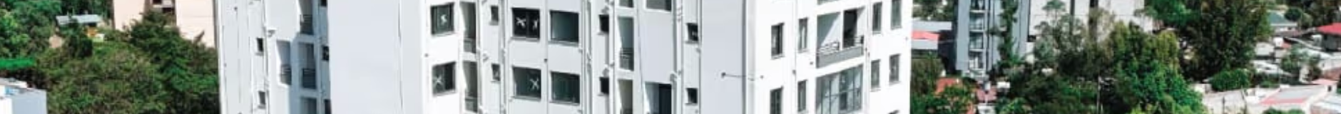 Flintstone Kazanchis 1