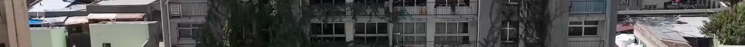 Flintstone Hayahulet