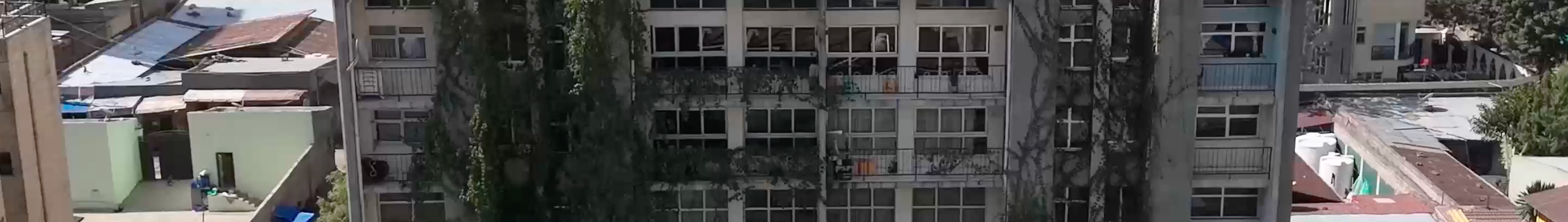 Flintstone Hayahulet