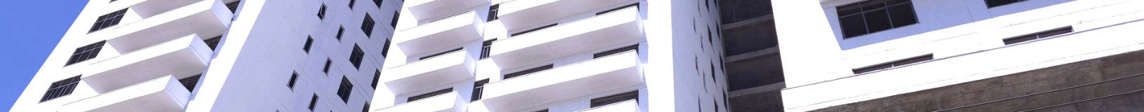 Noah Grand Convention