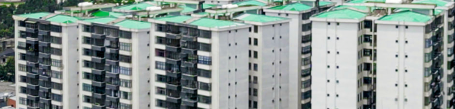 Noah Garden (Phase 2)