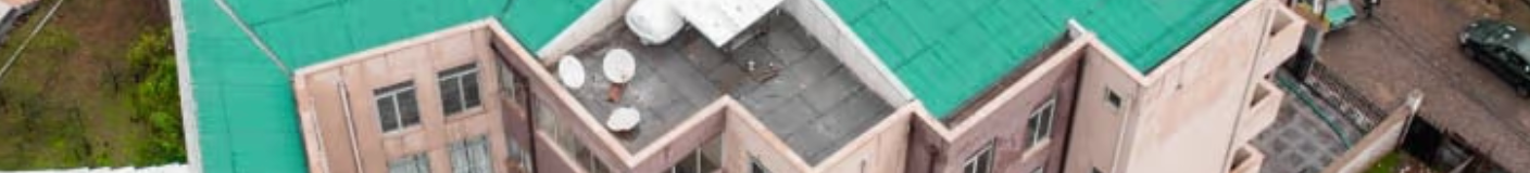 Flintstone Bogossian