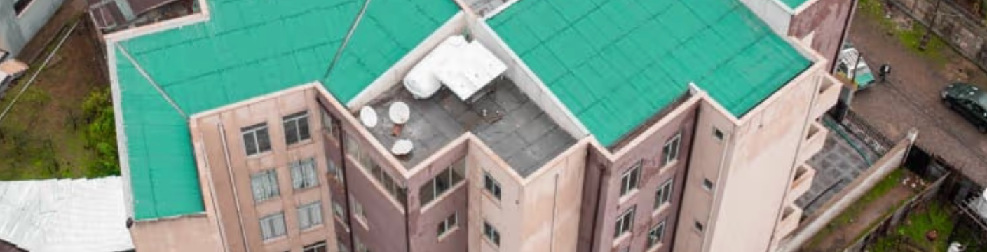 Flintstone Bogossian